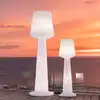 Image de Lampadaire secteur austral e27 h170cm