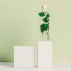 Image de Plante immergée lierre helix vert h17