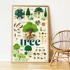 Image de Poster en stickers arbre poppi