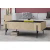 Image de Sequoia table basse en bois clair avec 2 grands tiroirs