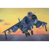 Image de Maquette Avion : Frs.1 Sea Harrier-Italeri