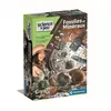 Image de Coffret Fossiles et minéraux