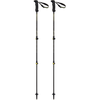 Image de Camp - Bâtons de randonnée - Backcountry Carbon 2.0 - Gris