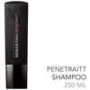 Image de Shampooing Pour Cheveux AbÃ®mÃ©s Penetraitt Sebastian 250ml