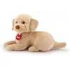 Image de Trudi - Labrador Liam