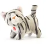 Image de Trudi - Sw Col Chat Brad
