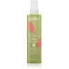 Image de Echosline Spray Scellant Color Care 200 ml