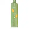 Image de Echosline Ki Power VEG Shampoing Végétalien 1000 ml