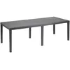 Image de Table De Jardin En RÃ©sine Rotin 220 X 90 Cm Queen Gris