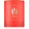 Image de Atkinsons Bougie parfumée A Walk In The Cotswolds 200g