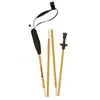 Image de Ferrino stick Eiger 125cm
