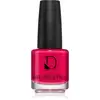 Image de Diego Dalla Palma Vernis à ongles 221 (14 ml)