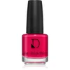 Image de Diego Dalla Palma Nail Polish Vernis Ã Ongles Longue Tenue Teinte 221 Mon-Cherry 14 Ml