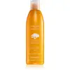Image de Farmavita Shampoing Sublime Argan 250 ml