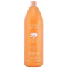 Image de Shampooings Farmavita  Argan Sublime Shampoo P6439177