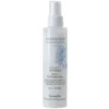 Image de Soins & Après-shampooing Farmavita  Masque Spray Sans Rinçage Amethyste Botanical Hydra P31150691
