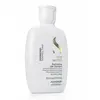 Image de Alfaparf Shampoing diamant 250 ml