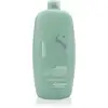 Image de Alfaparf Cuir chevelu aux graines de lin de Milan Renew Energizing Low Shampoo - Shampoing fortifiant contre la chute des cheveux - 1000ml