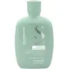 Image de Sdl Scalp Reb. Shampoing Rééquilibrant - Volume : 250 ml