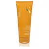 Image de Alfaparf Masque solaire Milano Semi di Lino pour cheveux exposés au soleil 200 ml