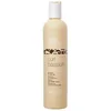 Image de Shampooings Milk Shake  Curl Passion Shampoo P19036171