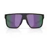 Image de Lunettes de soleil Bliz A003 L (58)
