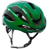Image de Casque de vélo KASK ELEMENTO (beetle green)