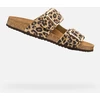 Image de Brionia R Woman - 37