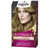 Image de Colorations Palette  Intensive Tinte 7-rubio Medio P17939122