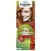 Image de Schwarzkopf Palette Naturals Color Creme 8.77 Intense Copper