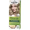 Image de Colorations Palette  Teinture Natural  8.1-blond Clair Glacé P17939156