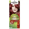 Image de Schwarzkopf Palette Naturals Color Creme 6.88 Intense Red