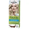 Image de Colorations Palette  Teinture Naturelle 12.1 - Blond Extra Clair Cendré P17939155