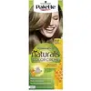 Image de Schwarzkopf Palette de couleurs crème Naturals 6.0 Blond foncé