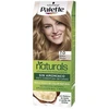 Image de Colorations Palette  Teinture Natural  7.0-blond Moyen P17939153