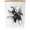 Image de Vila Hermanos Bougie parfumée Insecte Lucanus Cervus 75 g