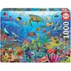 Image de 1000 Tortugas En El Paraiso