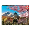 Image de Puzzle 2000 pièces Château d'Osaka en occasion ou reconditionné