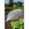 Image de Film De ForÃ§age Anti-Insectes ""Biocontrol"" - 1,40 X 5 M