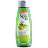 Image de Produits bains Natur Vital  Ecocert Bio Gel Douche Régénérant Argan  amp; Aloe Vera P6710494