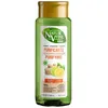 Image de Shampooings Natur Vital  Shampoing Eco Purifiant Gingembre Et Citron P22194308
