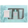 Image de Cologne Amichi  Lot De Fleurs Sensuelles P25647057