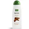 Image de Phyto Nature Shampoing anti-chute 400ml