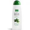 Image de Shampooings Luxana  Pyhto Nature Shampoing École Arbre À Thé P25141609
