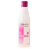 Image de Shampooings Salerm  Hi Repair Shampoo P6710703