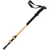 Image de Accessoire sport Altus  50100BO P32372747