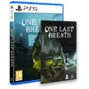 Image de One Last Breath PS5