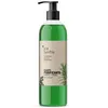 Image de Shampooings Tot Herba  Shampooing Purifiant Romarin Et Genévrier P9847564