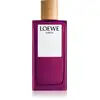 Image de Loewe Terre Ep 100 Vap