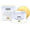 Image de Hydratants & nourrissants Isdin  Isdinceutics Hyaluronic Moisture Normal To Dry Skin P24687328